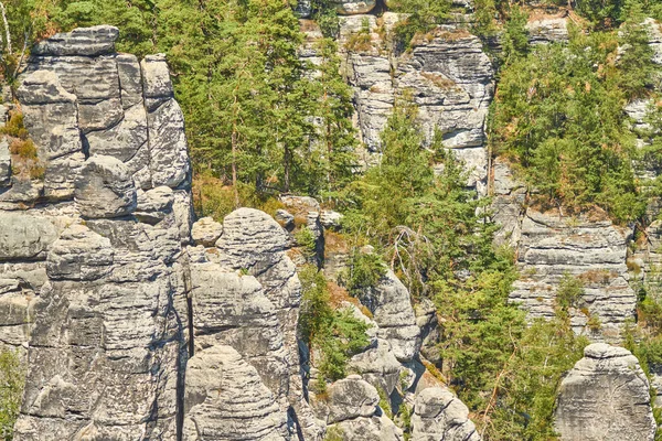 Som Sachsen Schweiz Kallas Den Tyska Delen Elbe Sandstensbergen Sachsen — Stockfoto