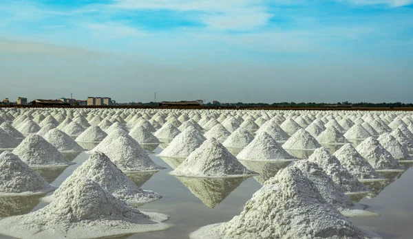タイの海塩農場と納屋 有機海塩 塩工業の原料 塩化ナトリウム太陽蒸発システム ヨウ素源青空の晴れた日に農場で働く労働者 — ストック写真