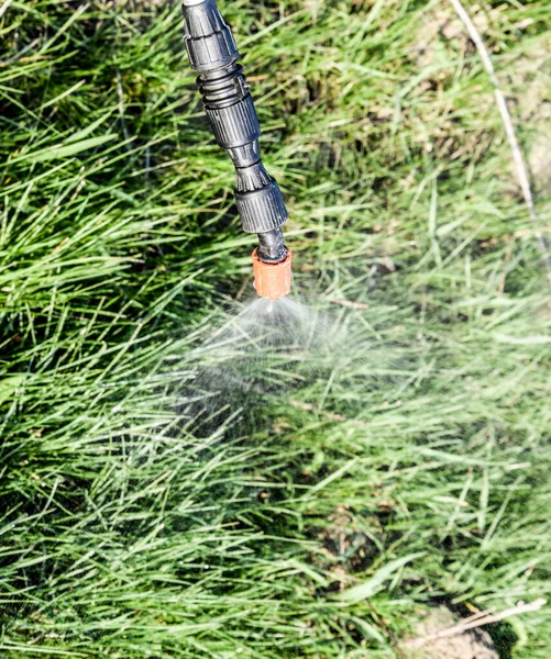噴霧器手動ノズルから除草剤を散布します 庭の植物を処理するためのデバイス — ストック写真