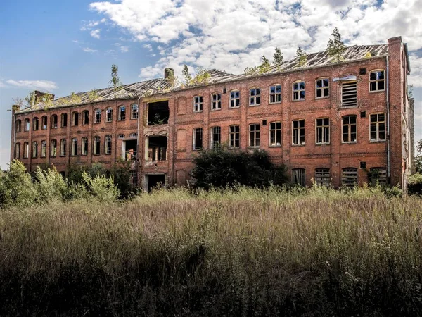 Edificio Industriale Coperto Arbusti Rovina Con Tetto Affondato Contro Cielo — Foto Stock