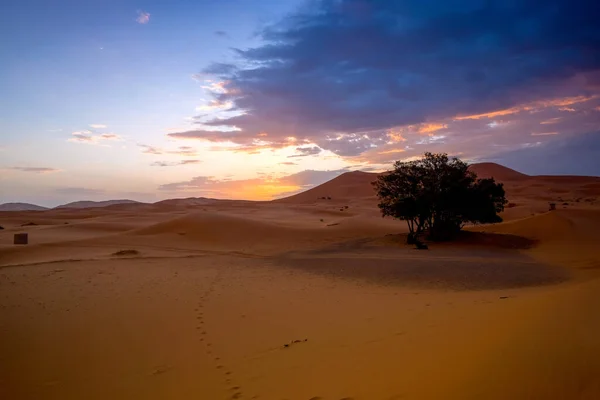 Wüstenlandschaft Und Bunter Bewölkter Himmel Frühen Morgen Sonnenuntergang Der Wüste — Stockfoto