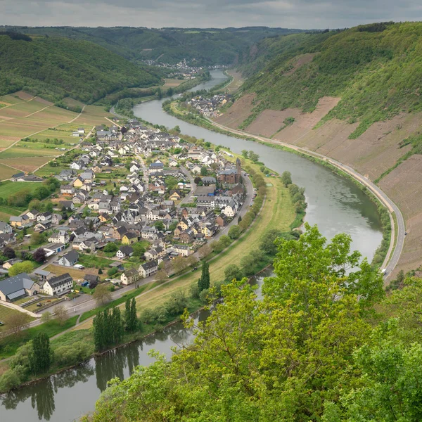 Panoramic Image Moselle Village Ernst Close Cochem Dully Day Springtime — Stock Photo, Image