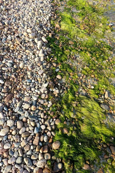 Линия Прилива Галечном Пляже Джерси Нормандские Острова — стоковое фото