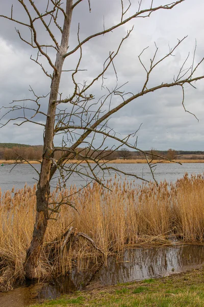 Bela Paisagem Com Rio Lago — Fotografia de Stock