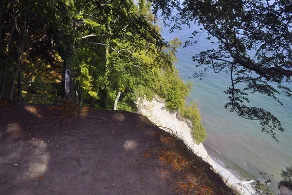 Schöne Aussicht Auf Den Fluss Wald — Stockfoto