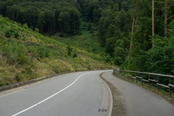 Rue Lac Allemand Appelé Diemelsee Heure Été — Photo