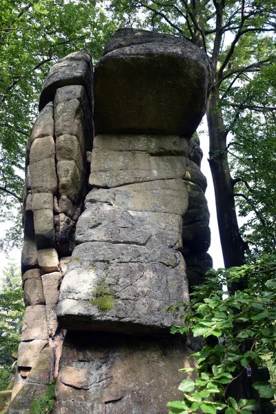 Roccia Pietra Nel Bosco — Foto Stock