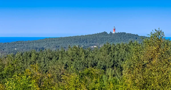 Arka Planda Orman Baltık Denizi Ile Stilo Deniz Feneri Panoramik — Stok fotoğraf