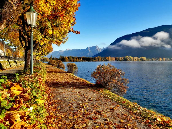 Foglie Autunnali Sul Lungolago Del Zellersee Stagione Autunnale Rende Questa — Foto Stock