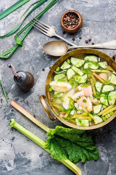 Sopa Fría Con Ruibarbo Pescado Sopa Fría Verano —  Fotos de Stock