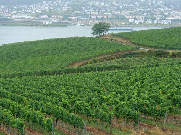 Rzeka Rhine Między Bingen Ruedesheim — Zdjęcie stockowe