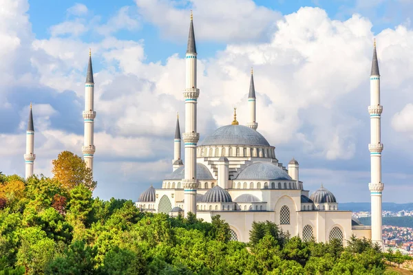 Μπλε Τζαμί Και Hagia Sophia Istanbul Γαλοπούλα — Φωτογραφία Αρχείου