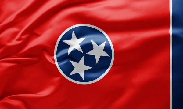 挥舞着田纳西州国旗 美利坚合众国 — 图库照片