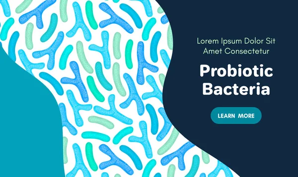 Pochodzenie Wektorowe Probiotyków Bifidobakterium Lactobacillus Bakterie Kwasu Mlekowego Mikrobiomu Medycyna — Zdjęcie stockowe