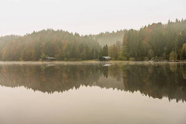 Vackert Höstlandskap Med Sjö Och Skog — Stockfoto