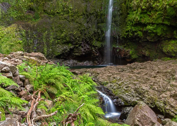 Cascada Caldeirao Verde Madeira Portugal — Foto de Stock