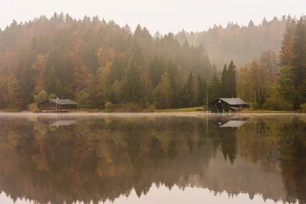 Krásná Krajina Jezerem Lesem — Stock fotografie