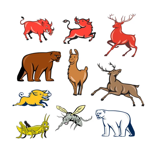 Zestaw Lub Kolekcja Postaci Kreskówki Maskotka Stylu Ilustracja Dzikich Zwierząt — Zdjęcie stockowe