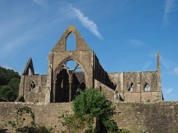 Abadia Tintern Abaty Tyndyrn Galês Ruínas Tintern Reino Unido — Fotografia de Stock