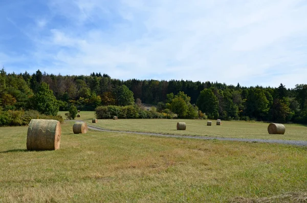 Fardos Heno Campo — Foto de Stock