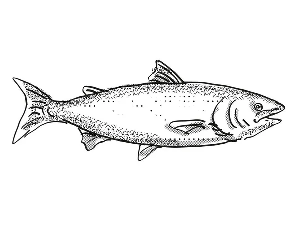 用黑白相间的白色背景从侧面看新西兰本土海洋生物 鲑鱼的复古卡通画 — 图库照片