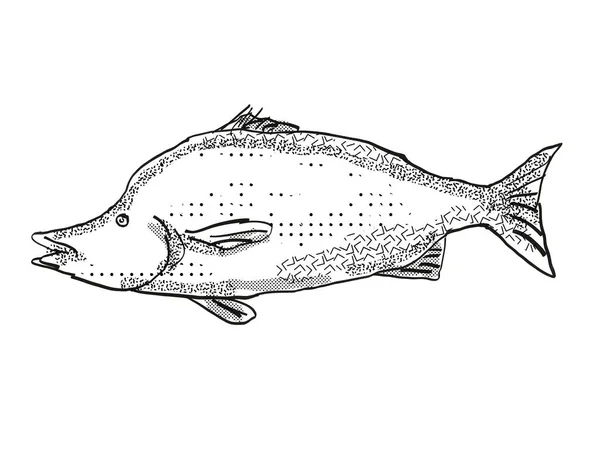 以黑白相间的白色背景为背景 从侧面看新西兰本土海洋生物物种 巨型水生动物的复古卡通画 — 图库照片