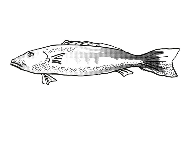 Ретро Рисунок Стиле Мультфильма Голубой Трески Местные Виды Морской Жизни — стоковое фото