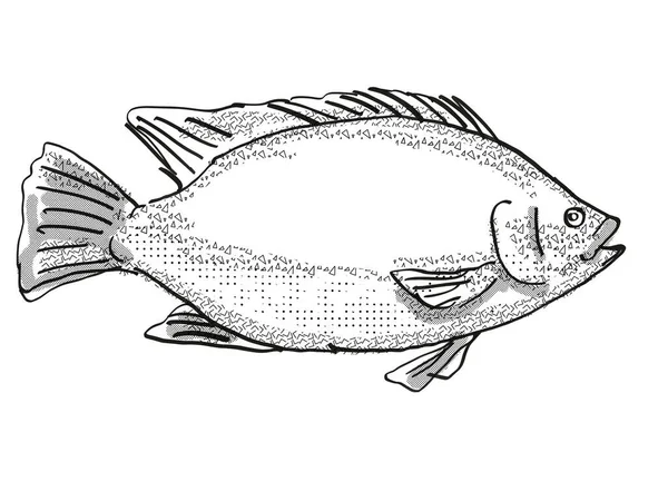 Rysunek Stylu Kreskówki Retro Tilapia Głównie Słodkowodnych Ryb Morskich Gatunków — Zdjęcie stockowe