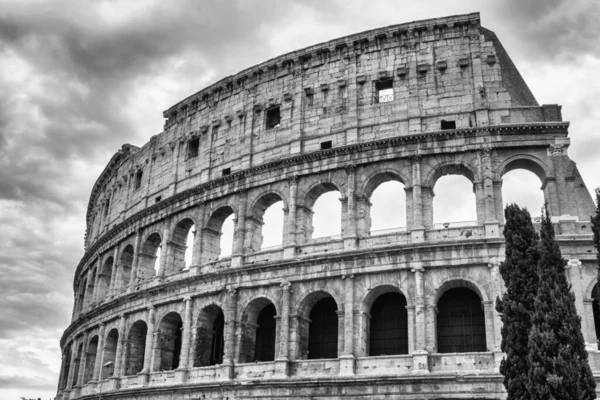 Roma Itália Circa Junho 2016 Colosseum Cidade Pisa Toscana Ital — Fotografia de Stock