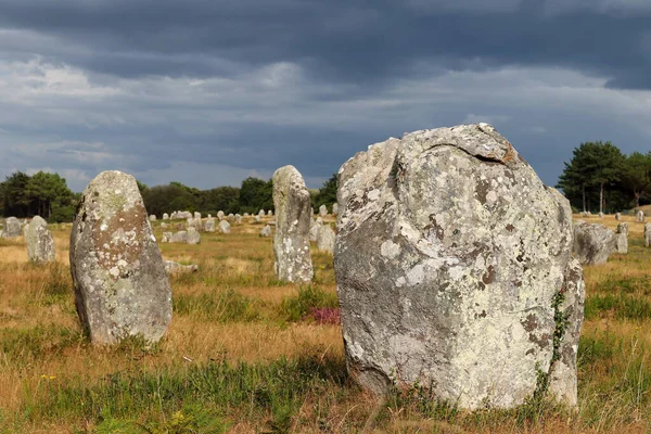 Alignements Menec Rows Menhirs Standing Stones Light Sunset Largest Megalithic — Stock Photo, Image