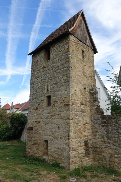 Vue Panoramique Sur Architecture Majestueuse Château Médiéval — Photo