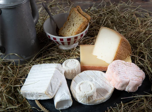 Tahta Bir Masada Peynir Süt — Stok fotoğraf