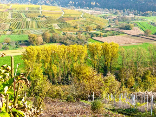 Weinberge Der Region Chianti Toskana Italien — Stockfoto