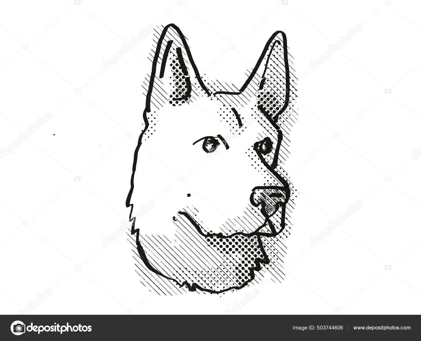 Retro Cartoon Style Drawing Head German Shepherd Domestic Dog Canine Stock  Illustration by ©PantherMediaSeller #503744606, image size:1600x1299