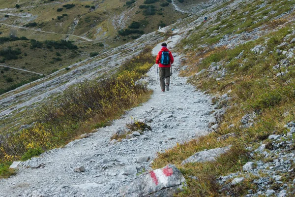 Wandelpad Bergen — Stockfoto