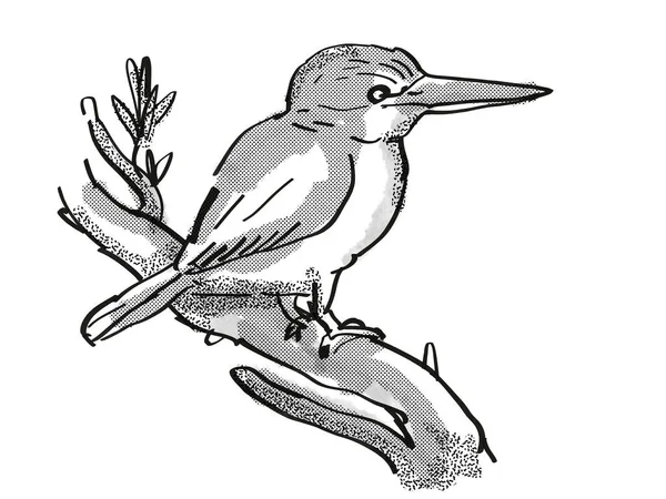 Ретро Рисунок Зимородка Новозеландская Птица Изолированном Белом Фоне Выполненный Черно — стоковое фото