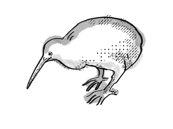 Retro Cartoon Style Drawing Kiwi New Zealand Bird Isolated White — Stock Photo, Image