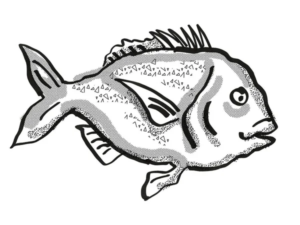 Ретро Рисунок Мохнатой Рыбы Стиле Мультфильма Местные Виды Морской Жизни — стоковое фото