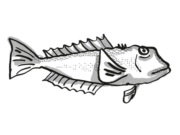 Desenho Desenho Animado Retrô Bacalhau Azul Uma Espécie Marinha Nativa — Fotografia de Stock