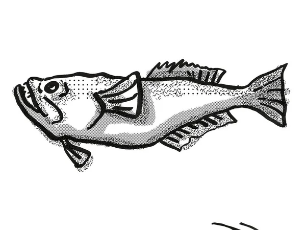 Retro Kresba Kreslený Styl Hvězdný Gazer Perciform Ryby Původem Nového — Stock fotografie