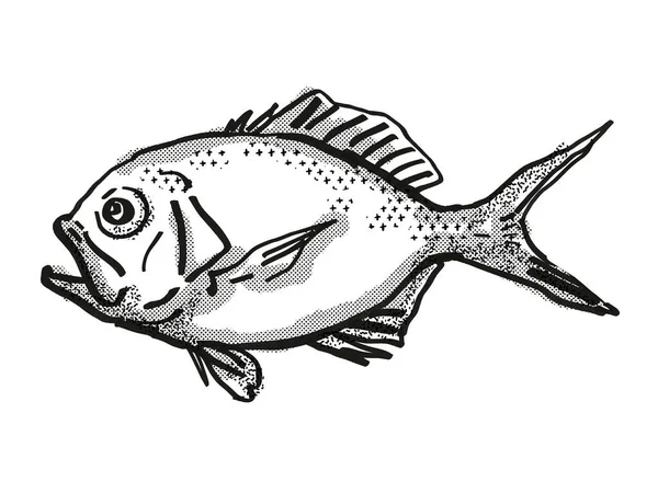 Retro cartoon style drawing of a Yelloweye Redfish  , a native Australian marine life species viewed from side on isolated white background done in black and white.