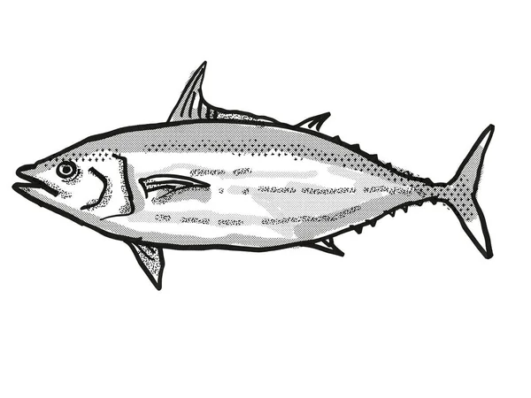 Retro Cartoon Style Drawing Skipjack Tuna Native Australian Marine Life — Stock Photo, Image