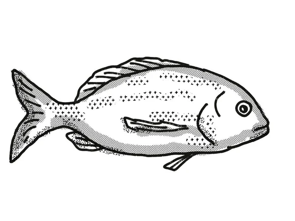 Retro Cartoon Style Drawing Yellowfin Bream Native Australian Marine Life — Stock Photo, Image