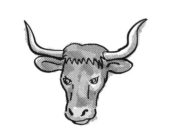 Retro Rysunek Stylu Kreskówki Głowy Byka Ankole Watusi Lub Krowy — Zdjęcie stockowe