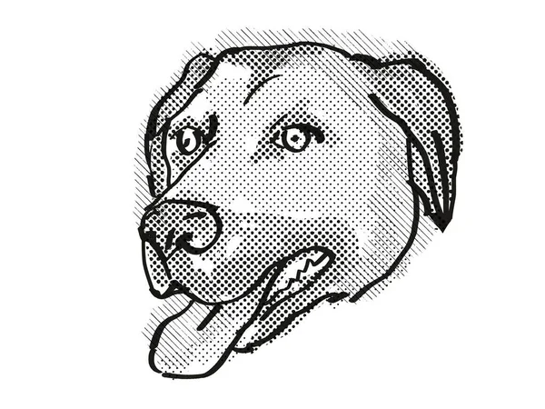 Retro Cartoon Style Drawing Head Anatolian Shepherd Dog Domestic Dog — Stock Photo, Image