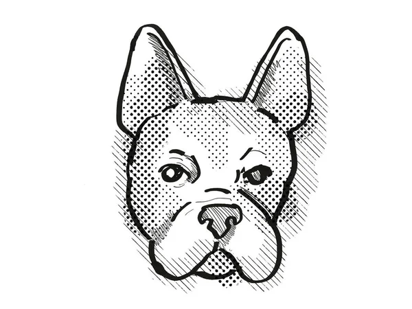 ボストンテリア 黒と白で行われた隔離された白い背景に犬や犬の品種の頭のレトロな漫画スタイルの描画 — ストック写真