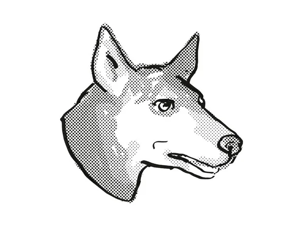 Retro Rysunek Stylu Kreskówki Głowy Australijskiego Kelpie Pies Domowy Lub — Zdjęcie stockowe