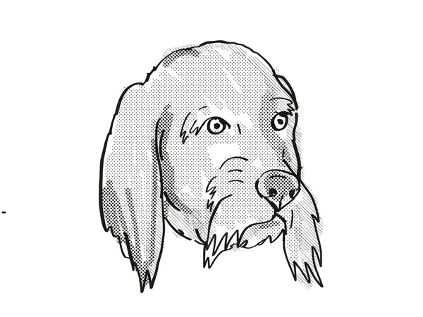 Dibujo Estilo Dibujos Animados Retro Cabeza Basset Fauve Bretagne Perro — Foto de Stock