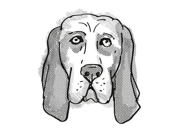Retro Rysunek Stylu Kreskówki Głowy Psa Basset Psa Domowego Lub — Zdjęcie stockowe