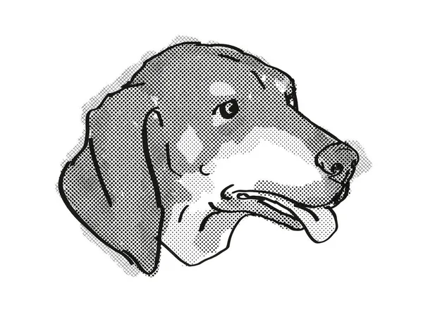 Dessin Style Caricature Rétro Tête Chien Noir Bronzé Coonhound Une — Photo